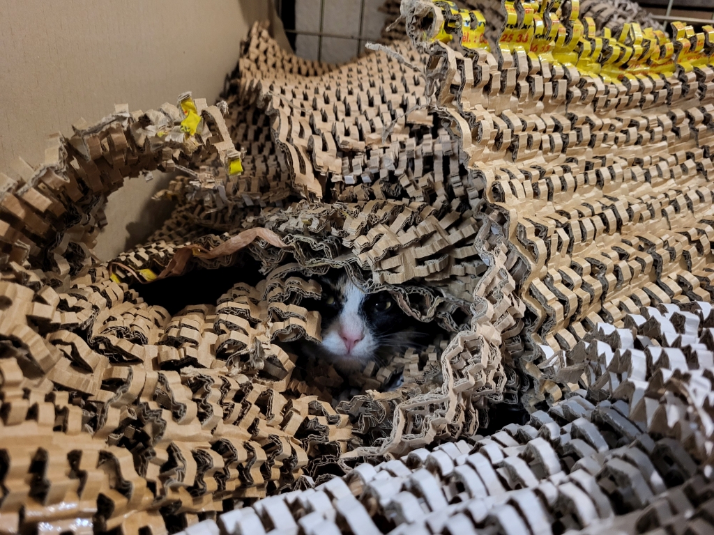 Florida Suchbild.jpg