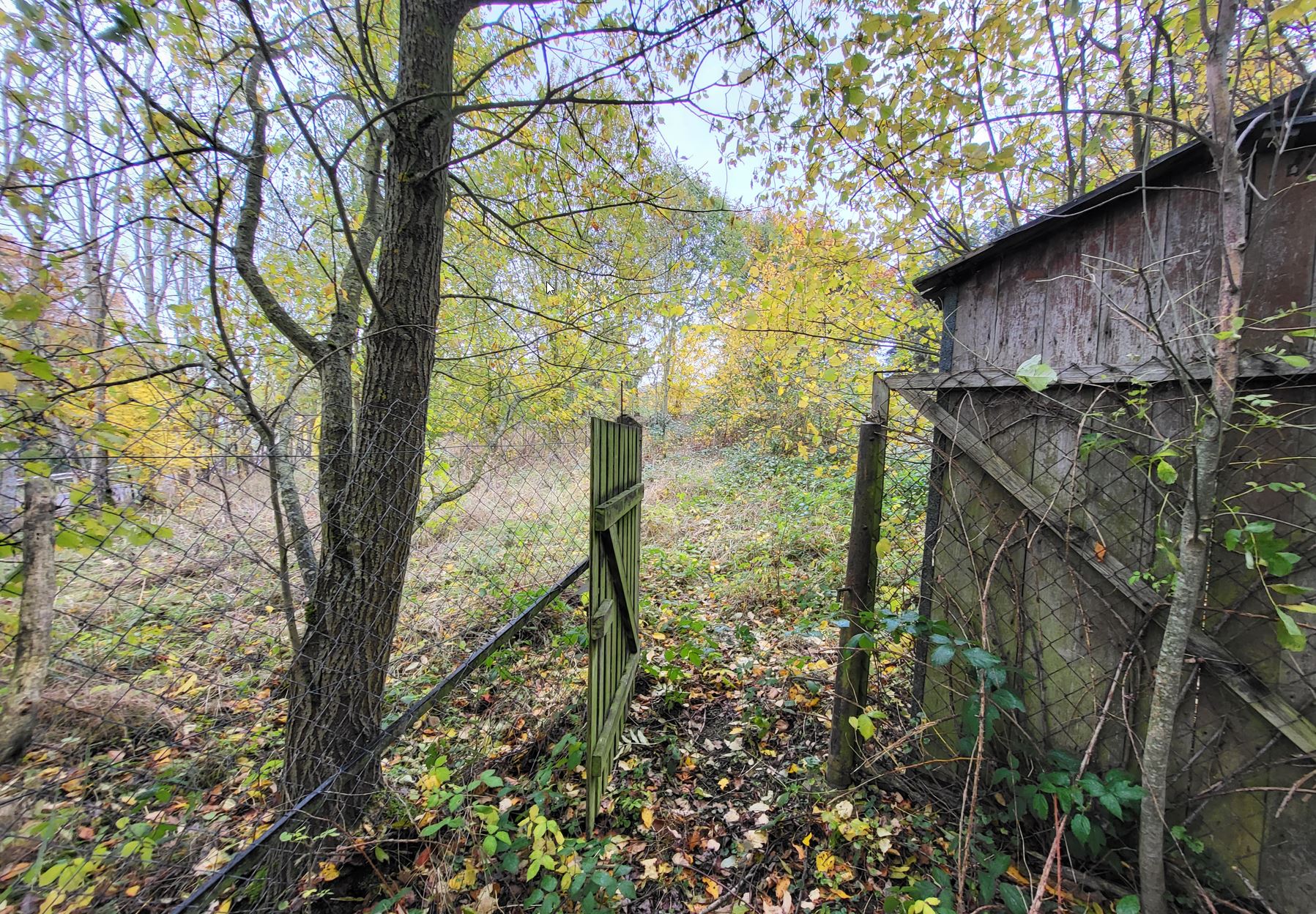 Garten eingang.jpg