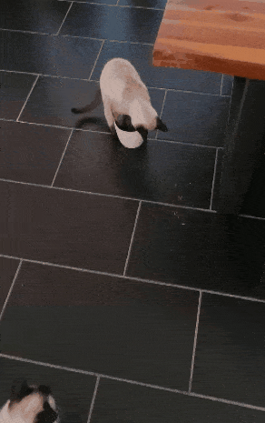 GIF-220719_001314.gif