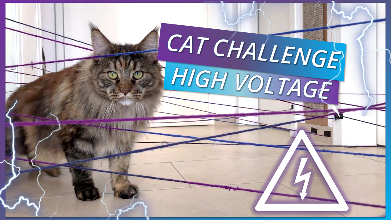 HIGH VOLTAGE.png