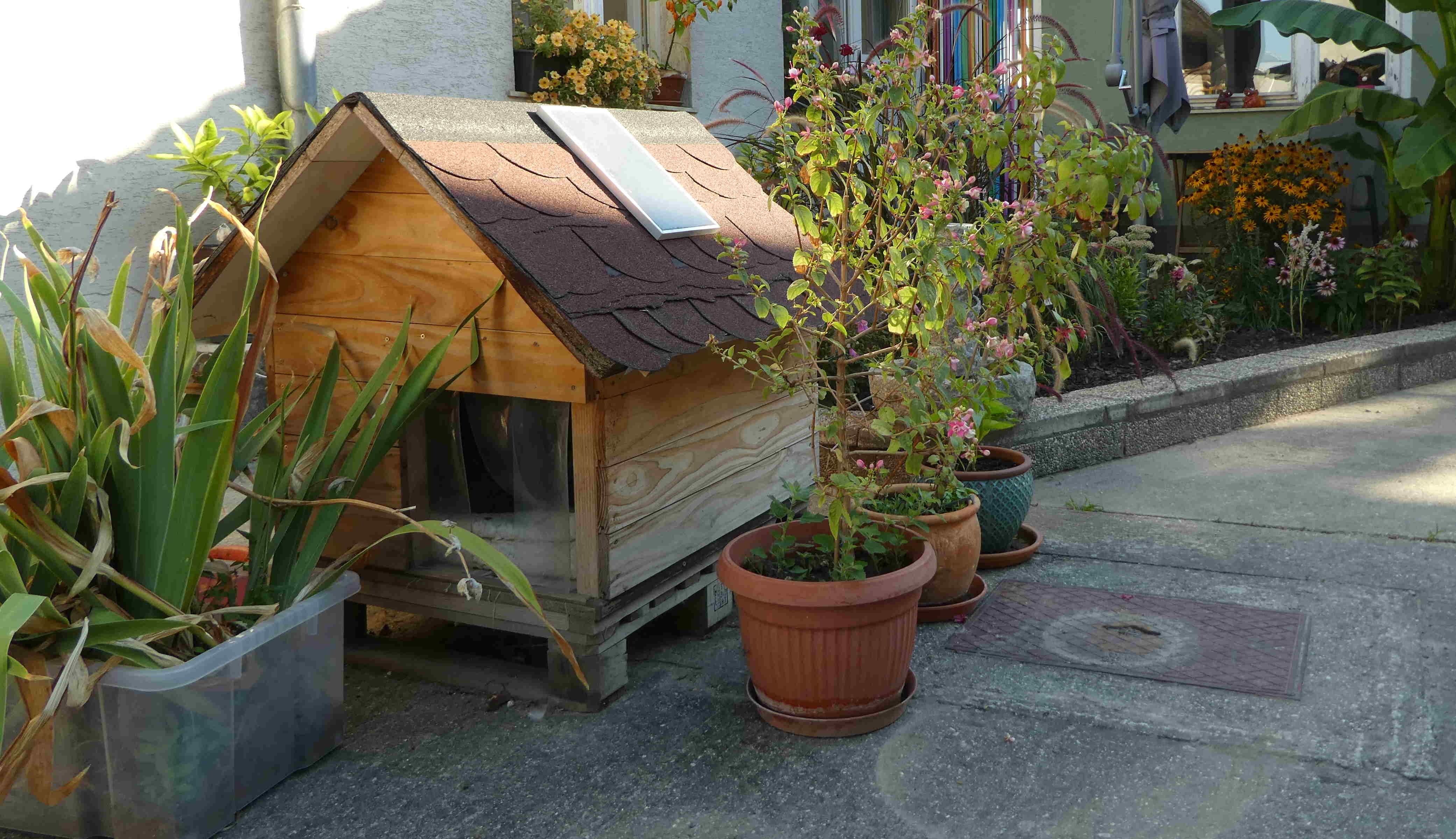 Ich_hab_ein_Haus1.JPG