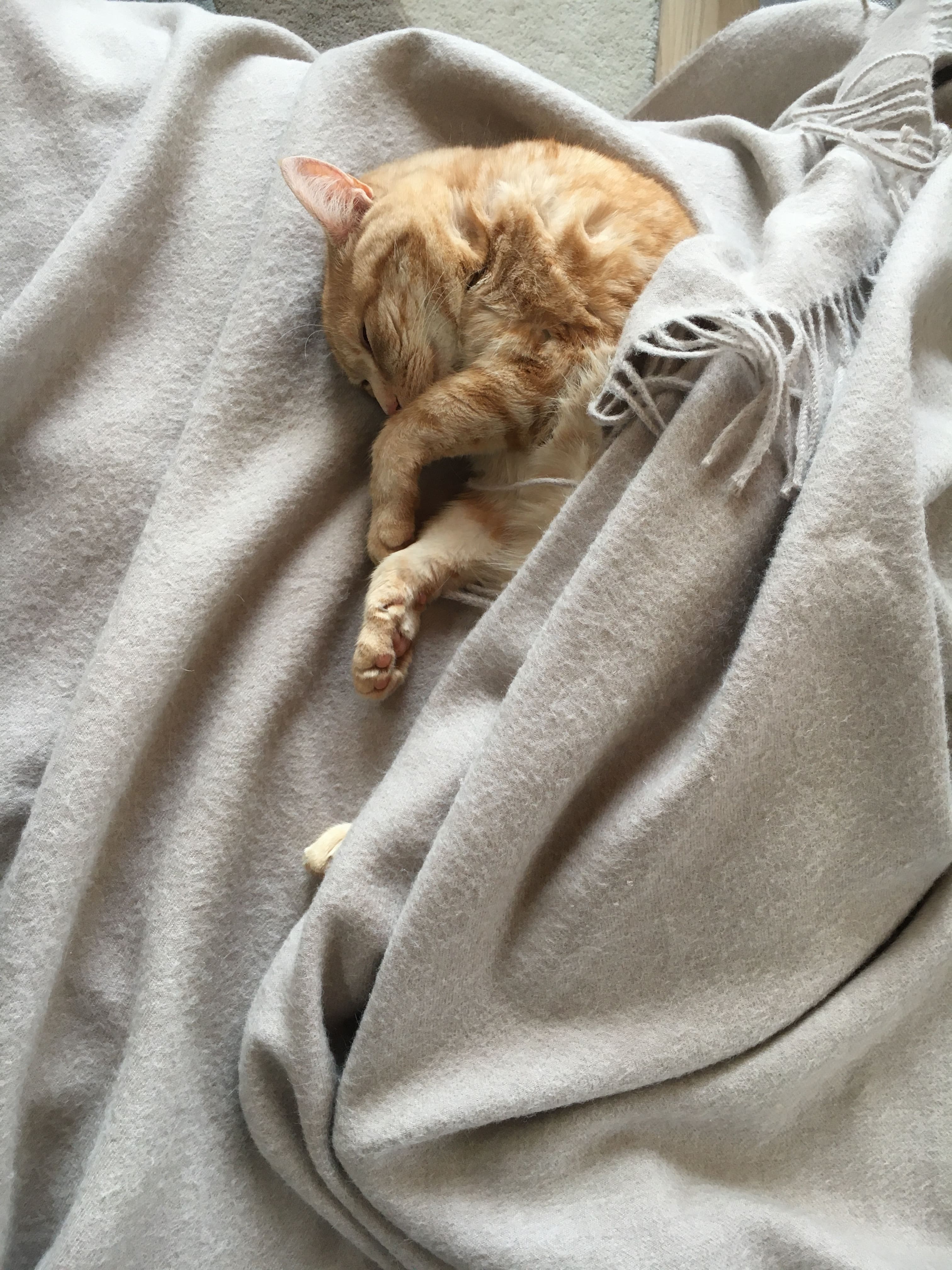 image0-min.jpeg
