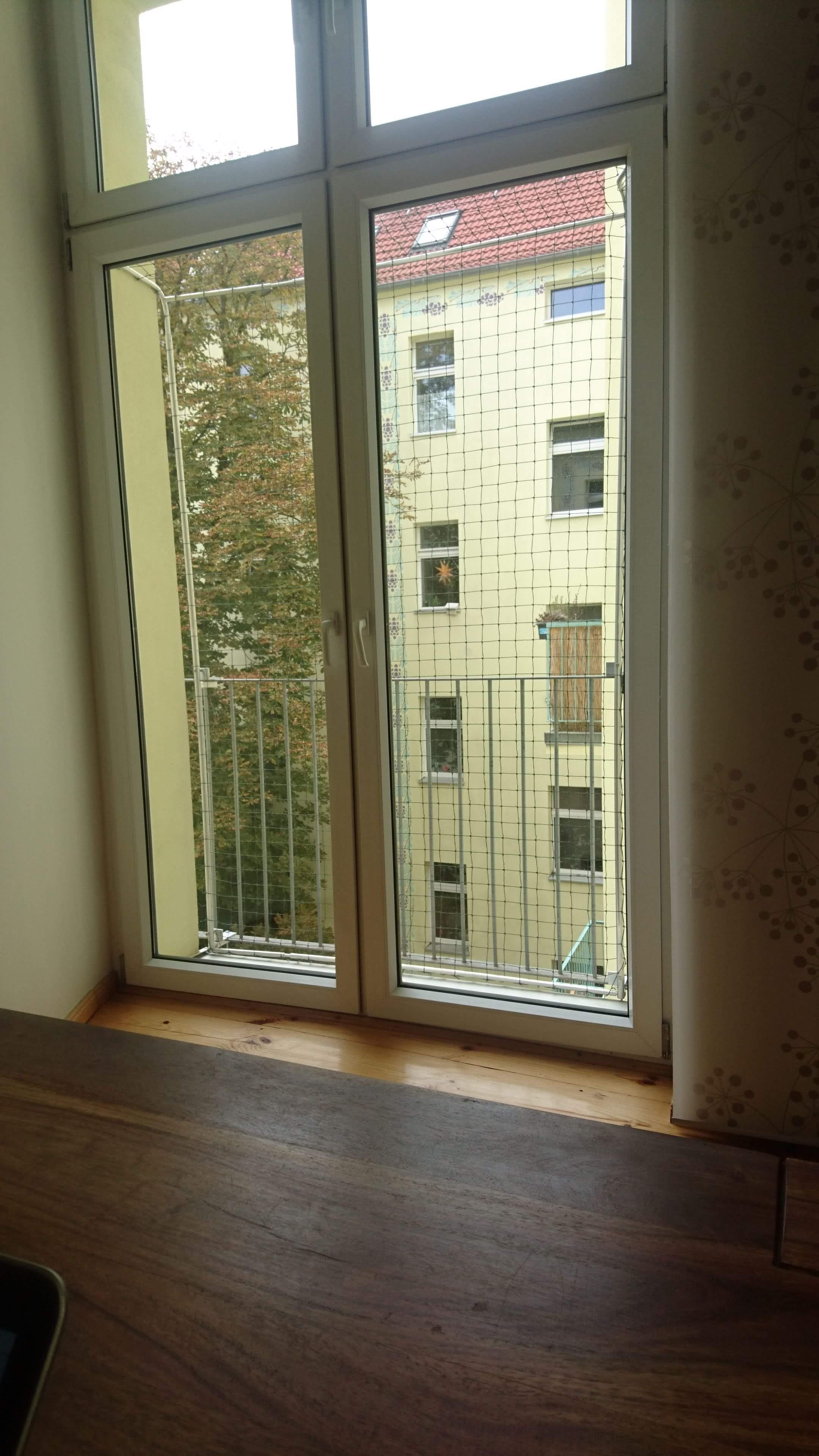 IMG-20171013-WA0002.jpeg