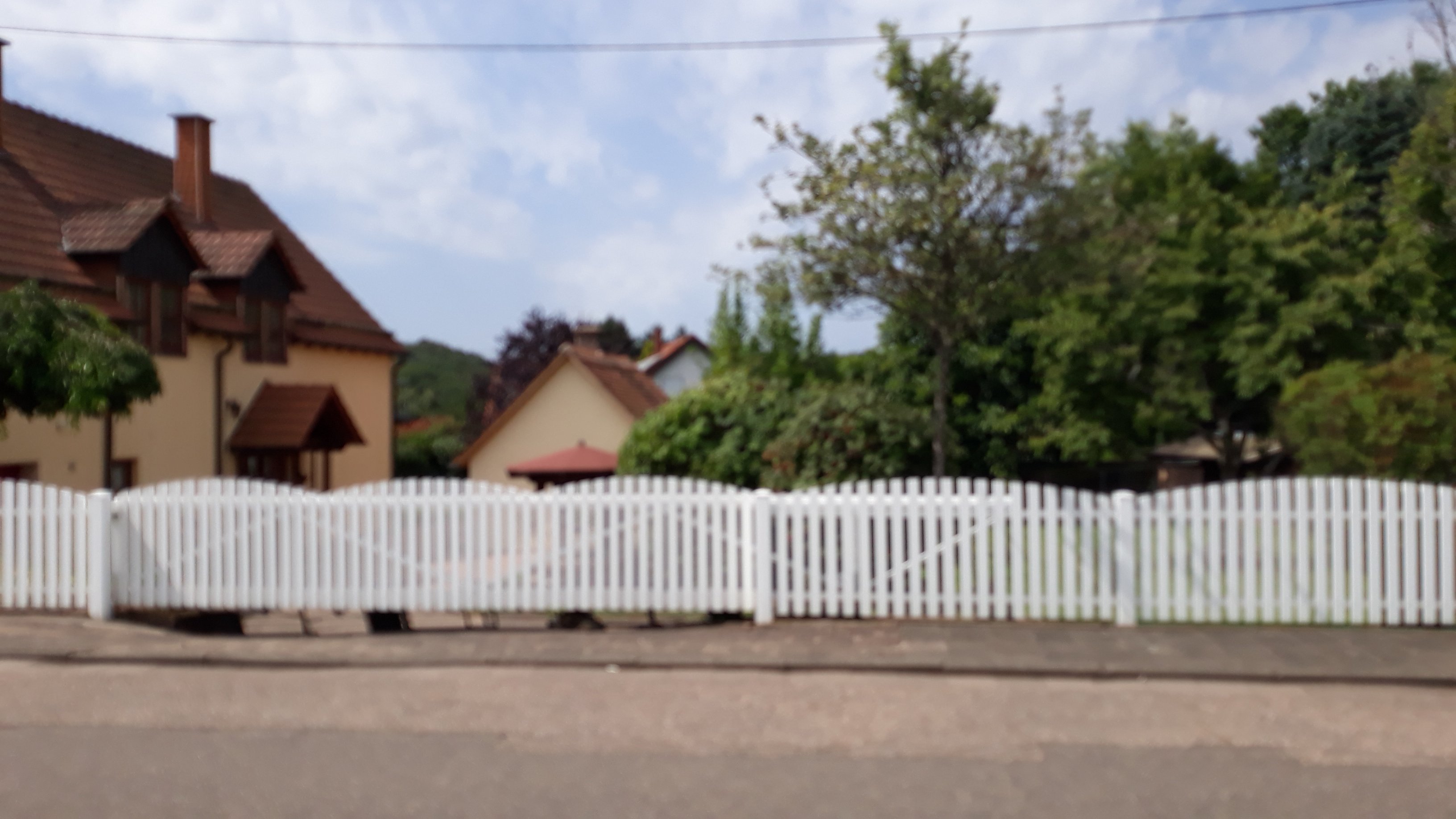 IMG-20210815-WA0011.jpeg