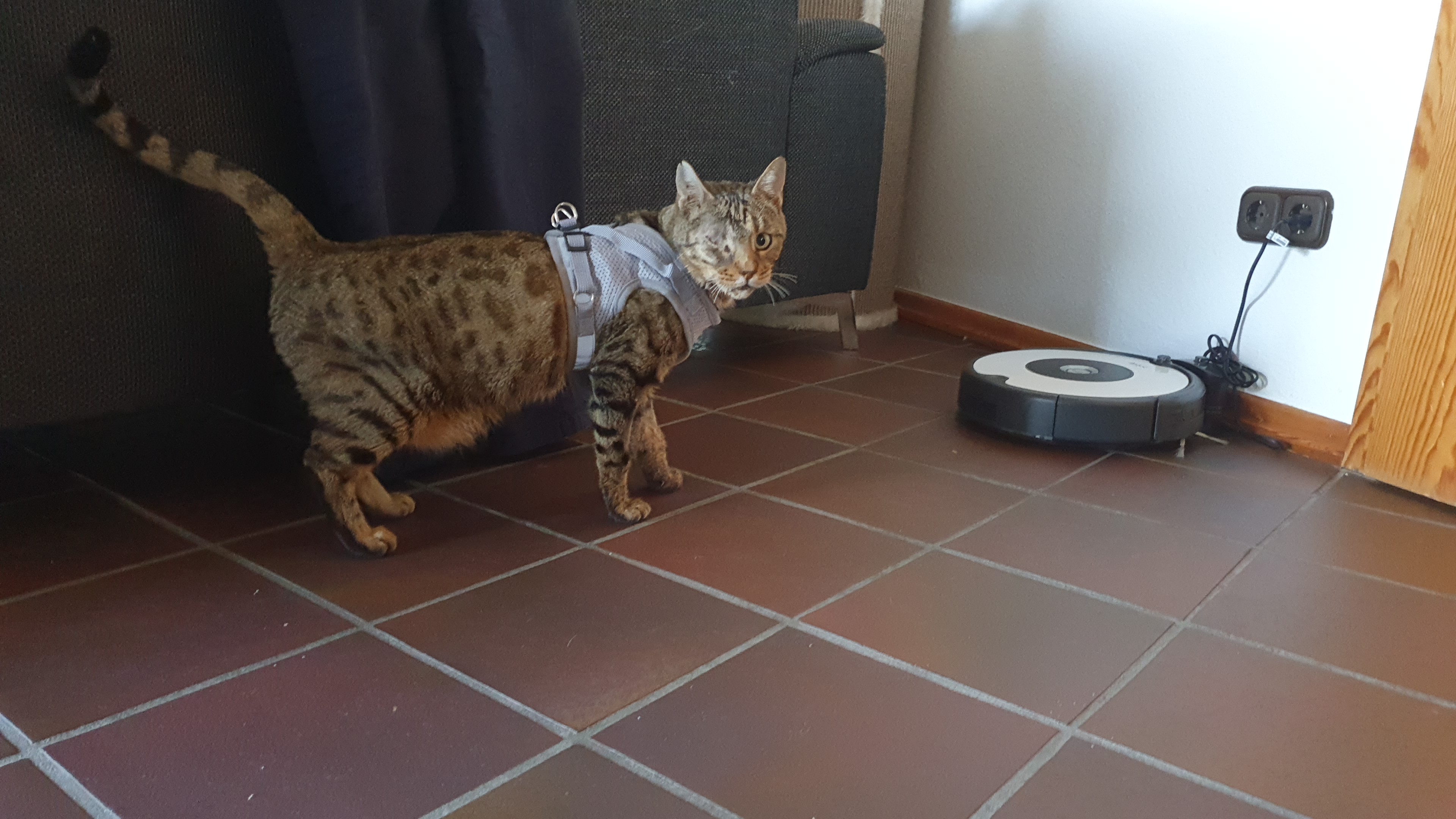 IMG-20210825-WA0006.jpeg