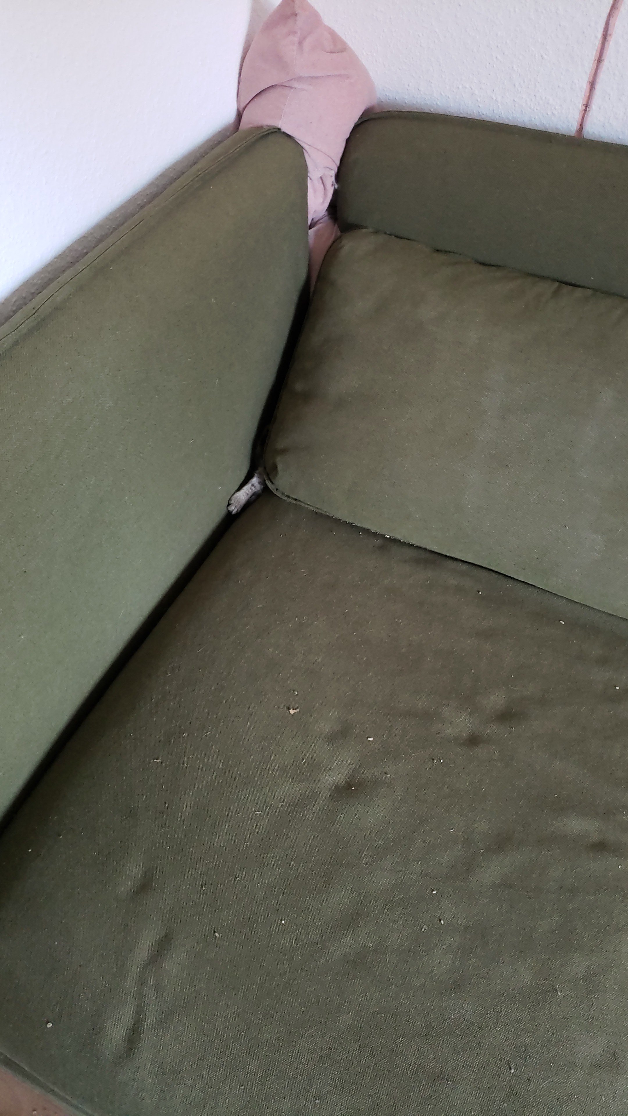 IMG-20211008-WA0006.jpeg