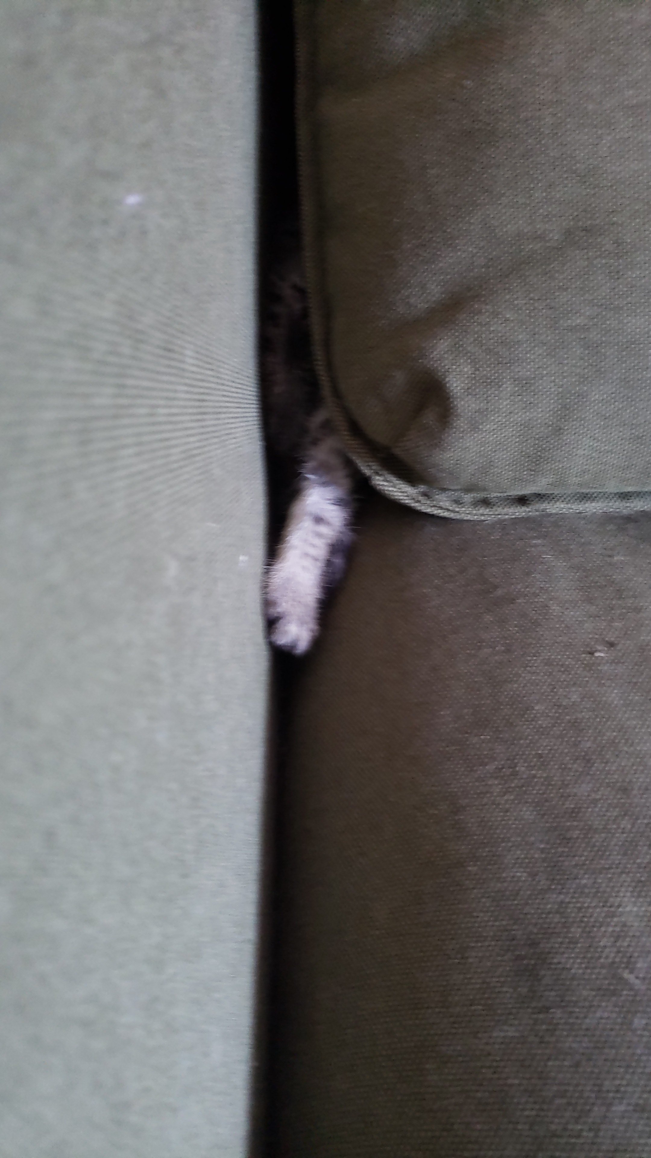 IMG-20211008-WA0008.jpeg