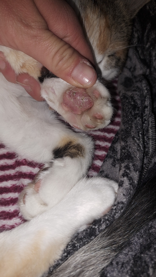 IMG-20220924-WA0000.jpeg