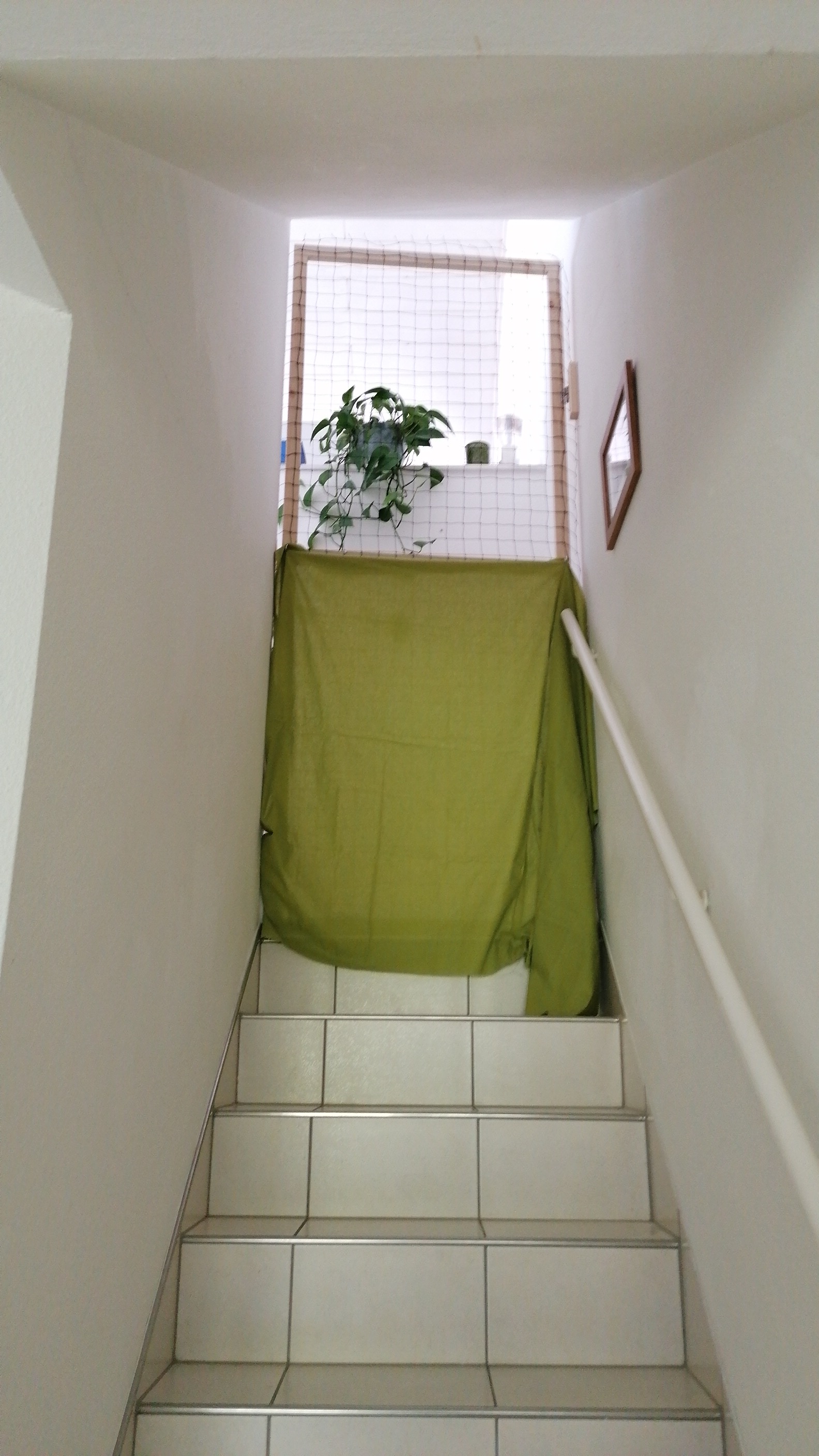 IMG-20230530-WA0000.jpeg