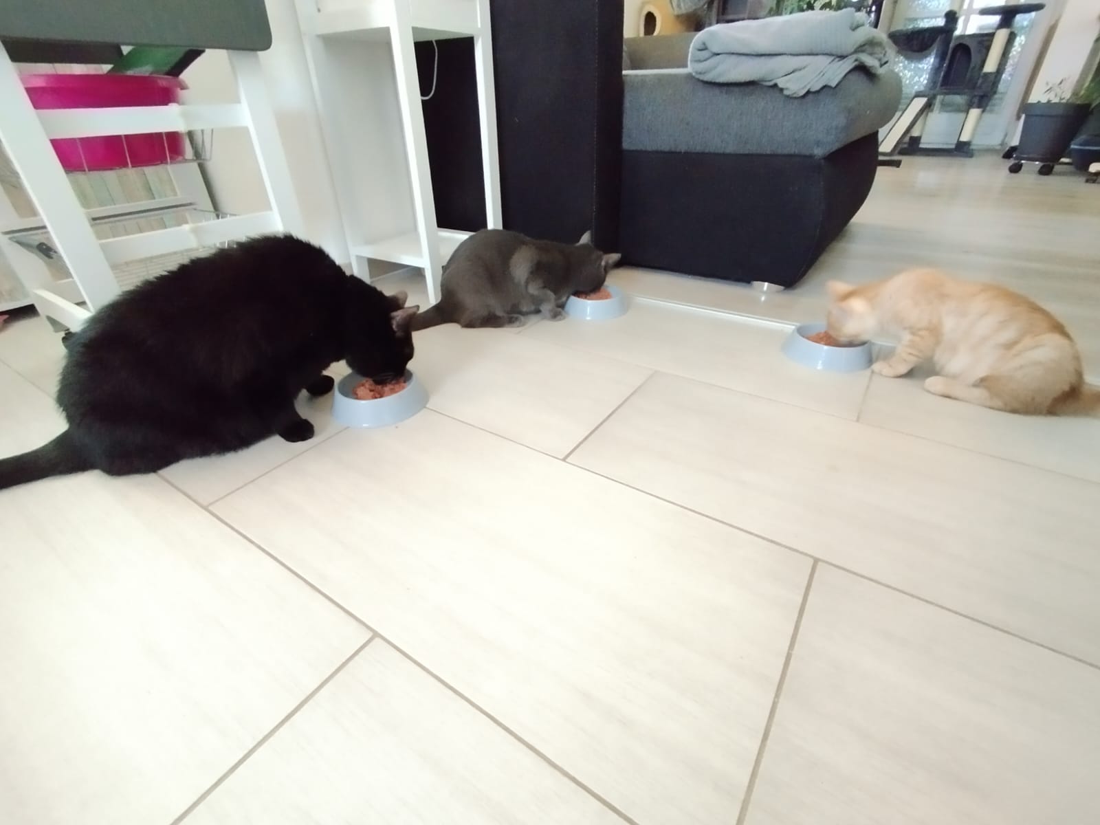 IMG-20230829-WA0002.jpg