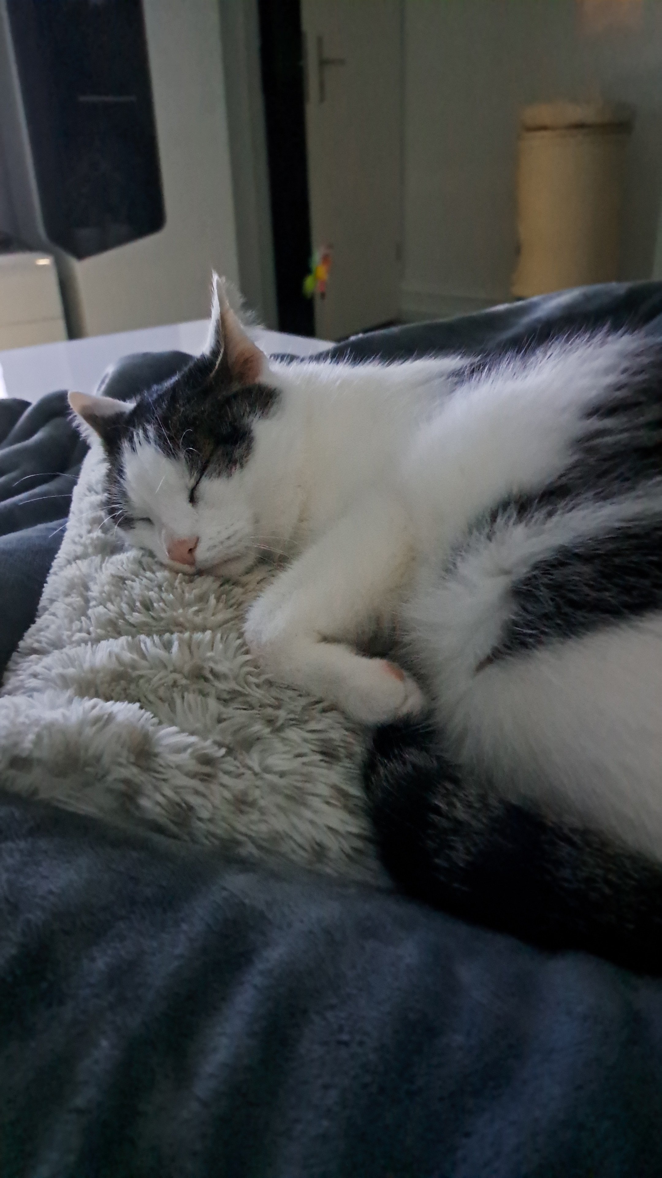 IMG-20231027-WA0018.jpeg