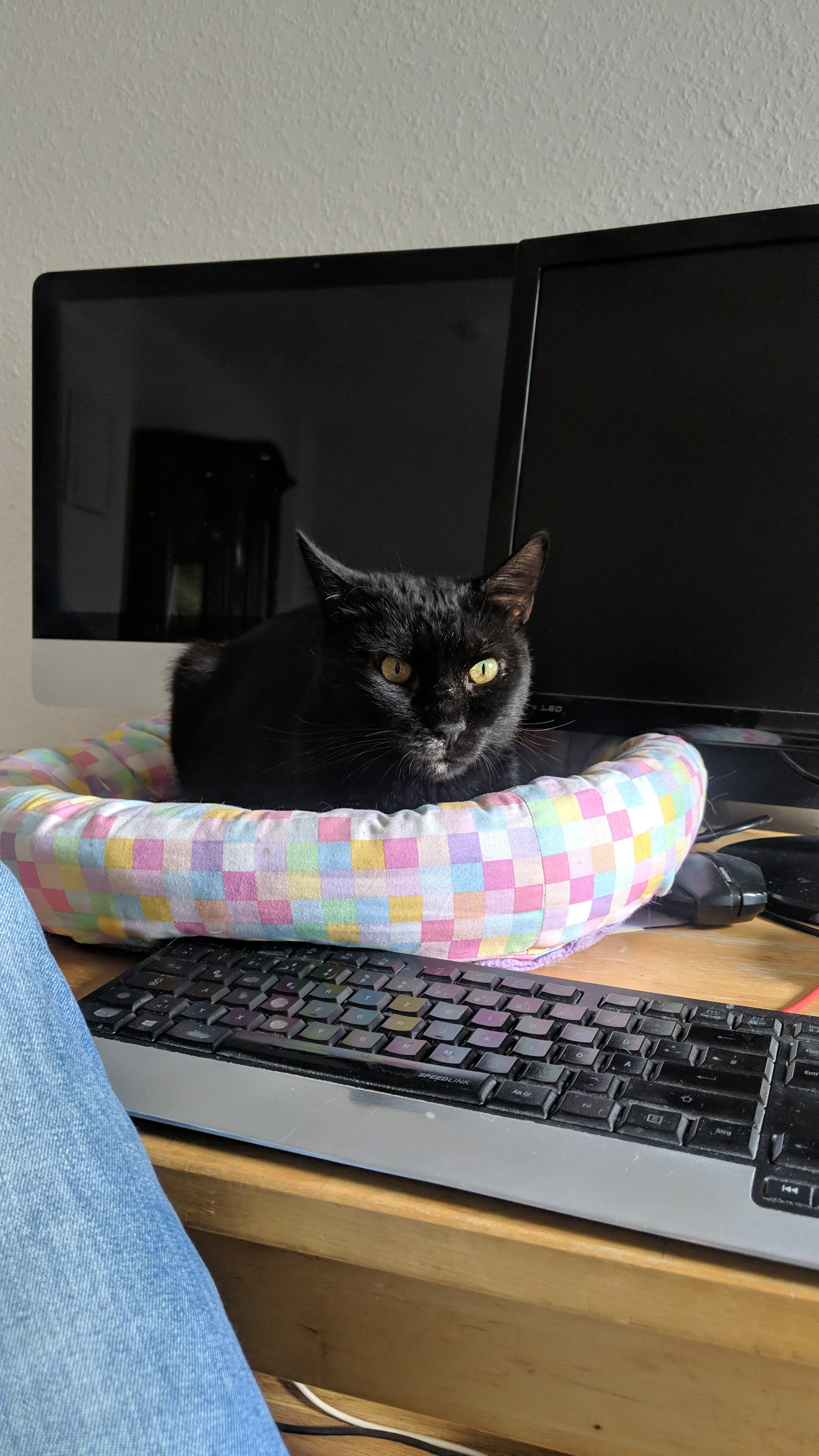 IMG-20240925-WA0009.jpeg