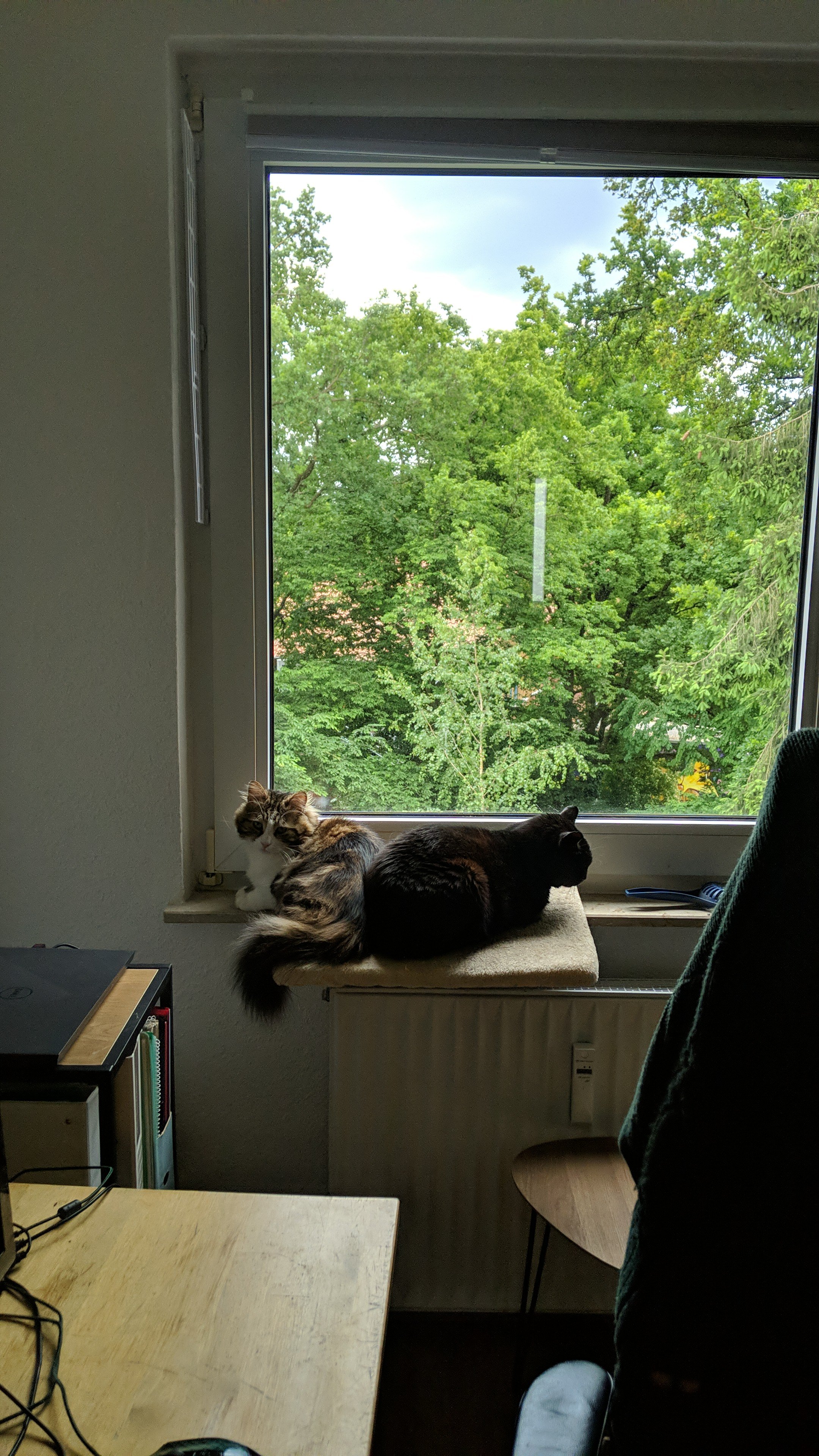 IMG-20250524-WA0009.jpeg