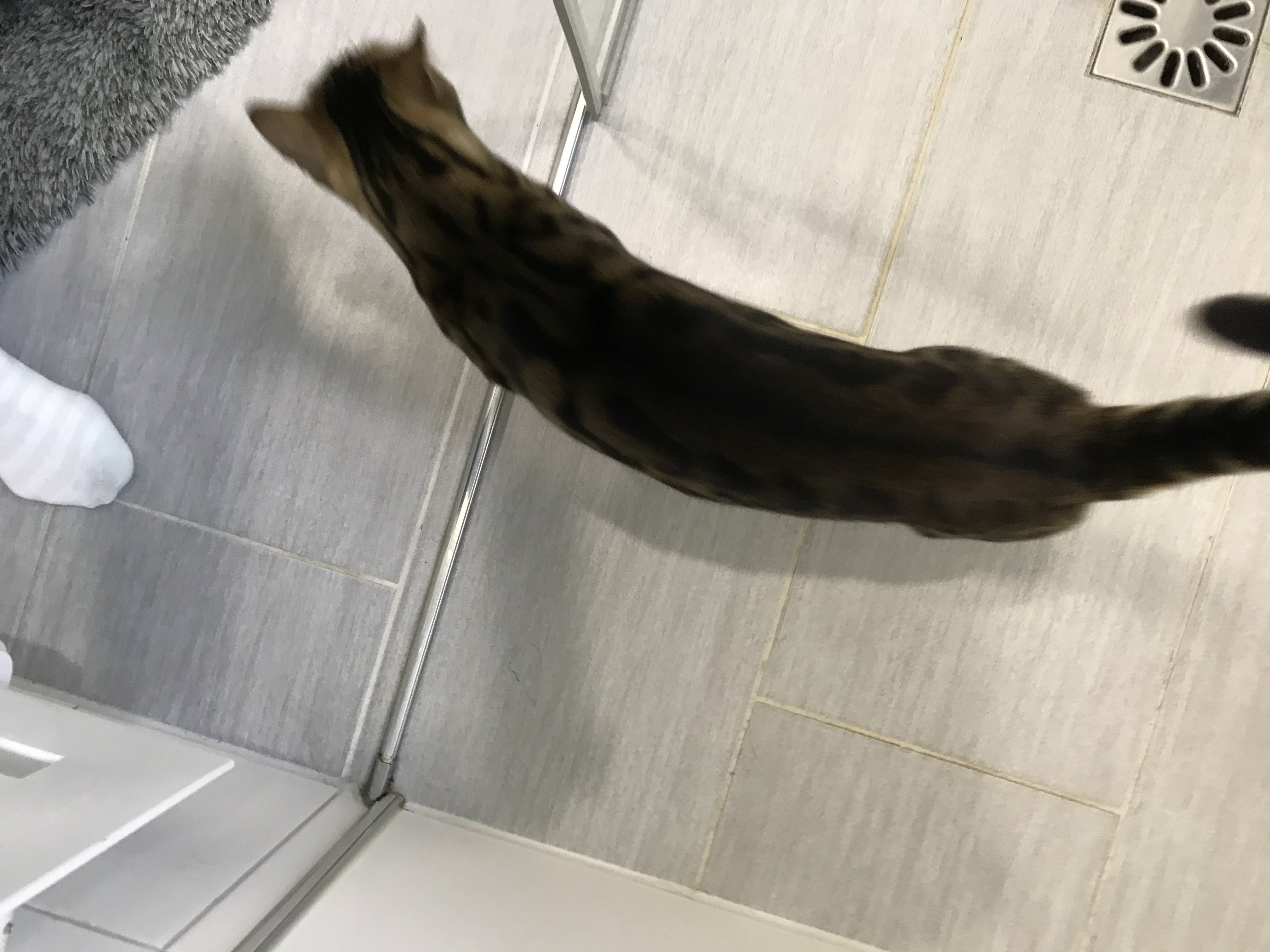 IMG_0049.jpeg