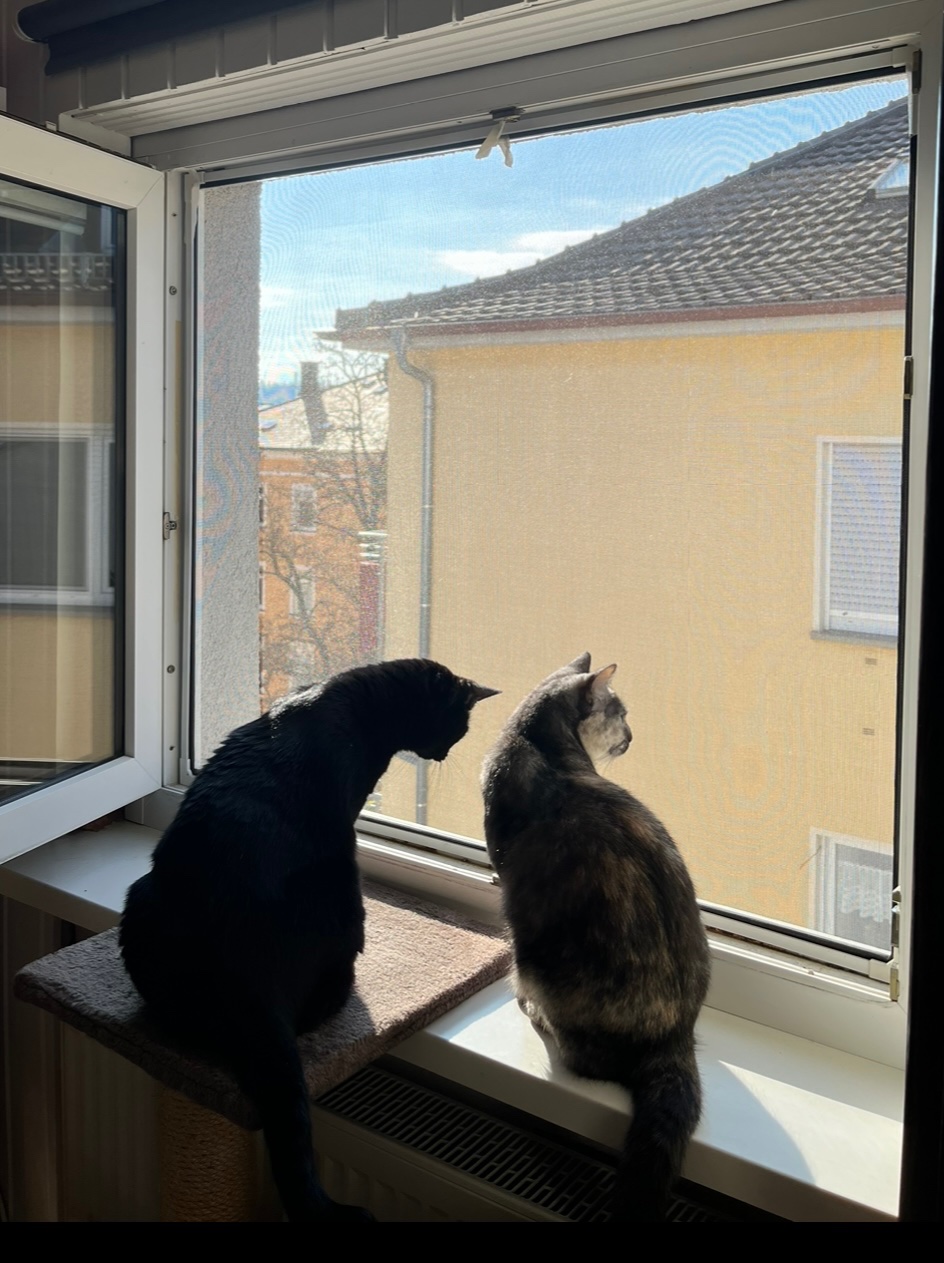 IMG_0166.jpeg