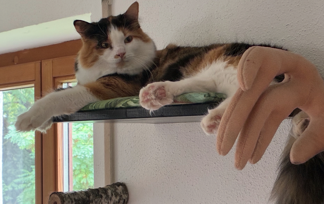 IMG_0240.jpeg
