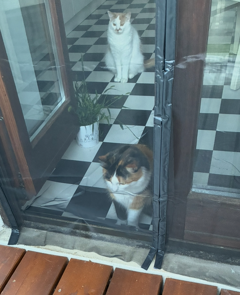 IMG_0302.jpeg