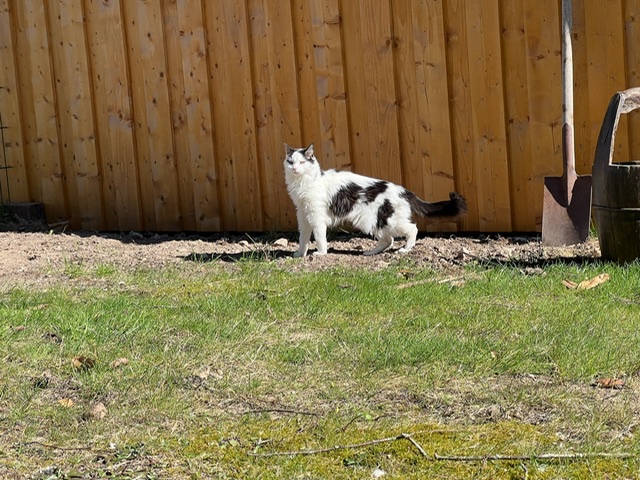IMG_0386.jpeg