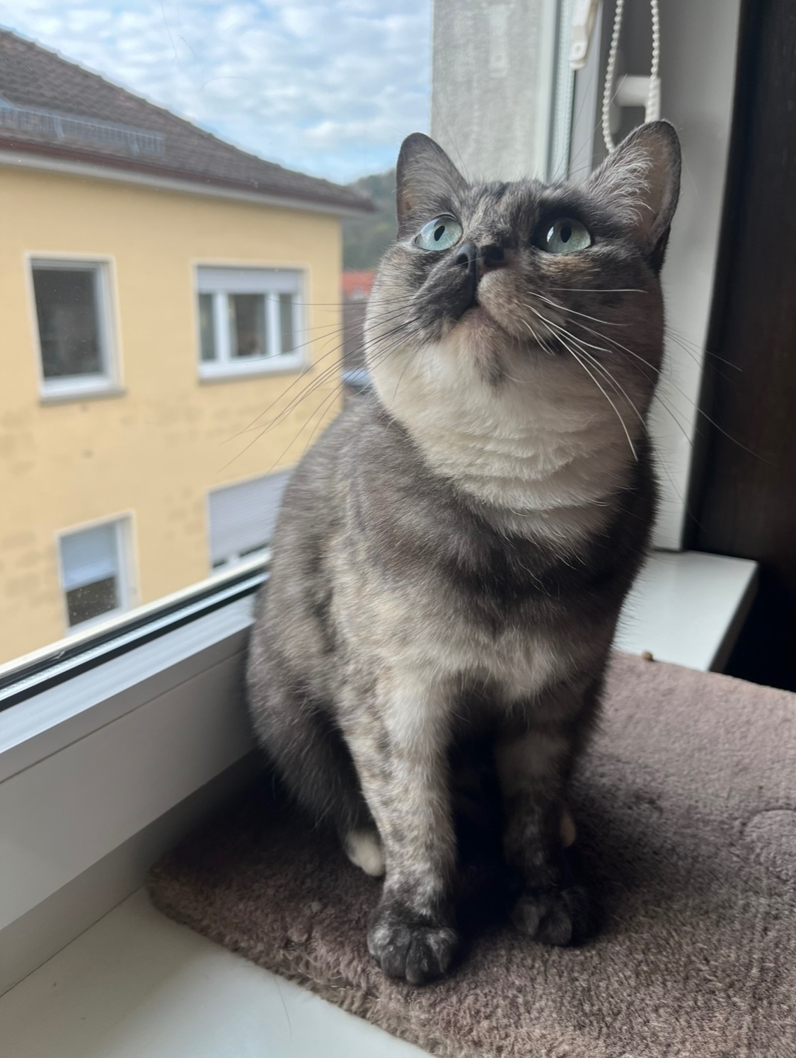 IMG_0388.jpeg