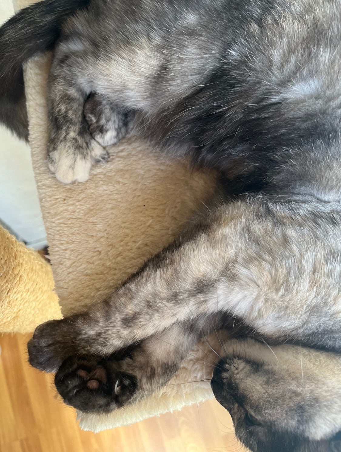 IMG_0408.jpeg
