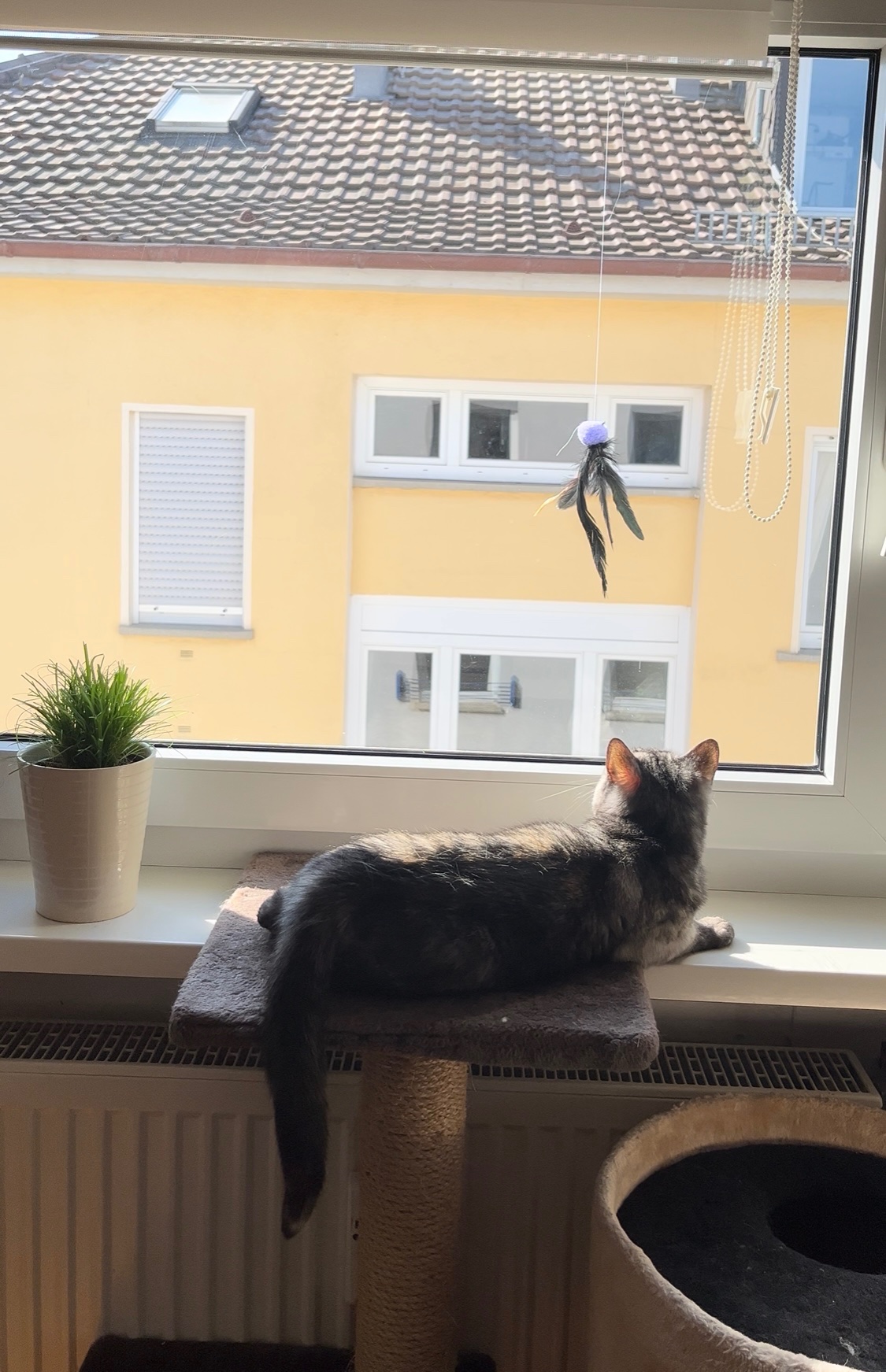 IMG_0461.jpeg