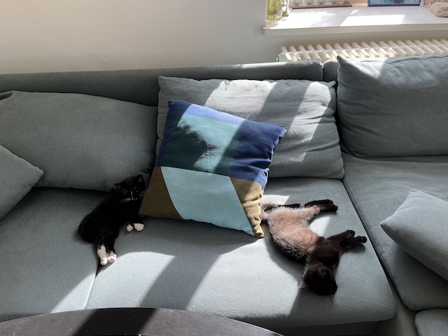 IMG_0502.jpeg