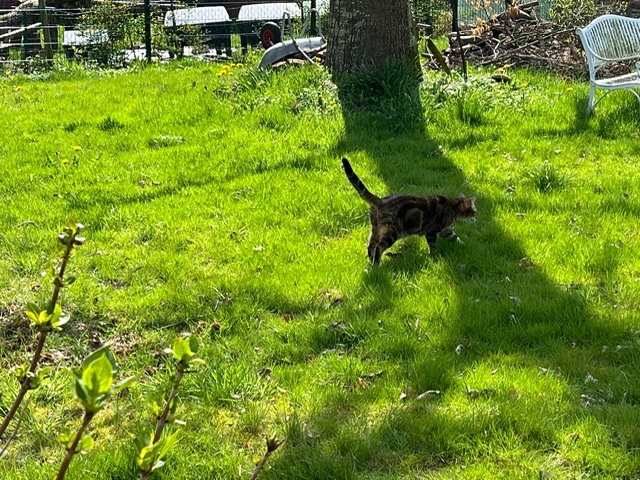 IMG_0525.jpeg