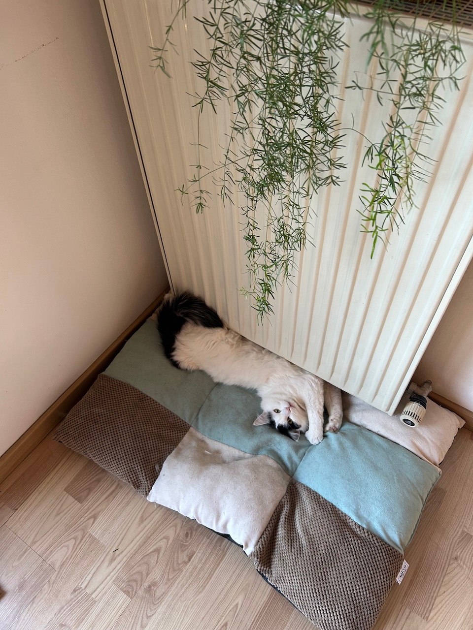IMG_0647.jpeg