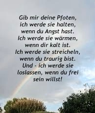 IMG_1066.jpeg
