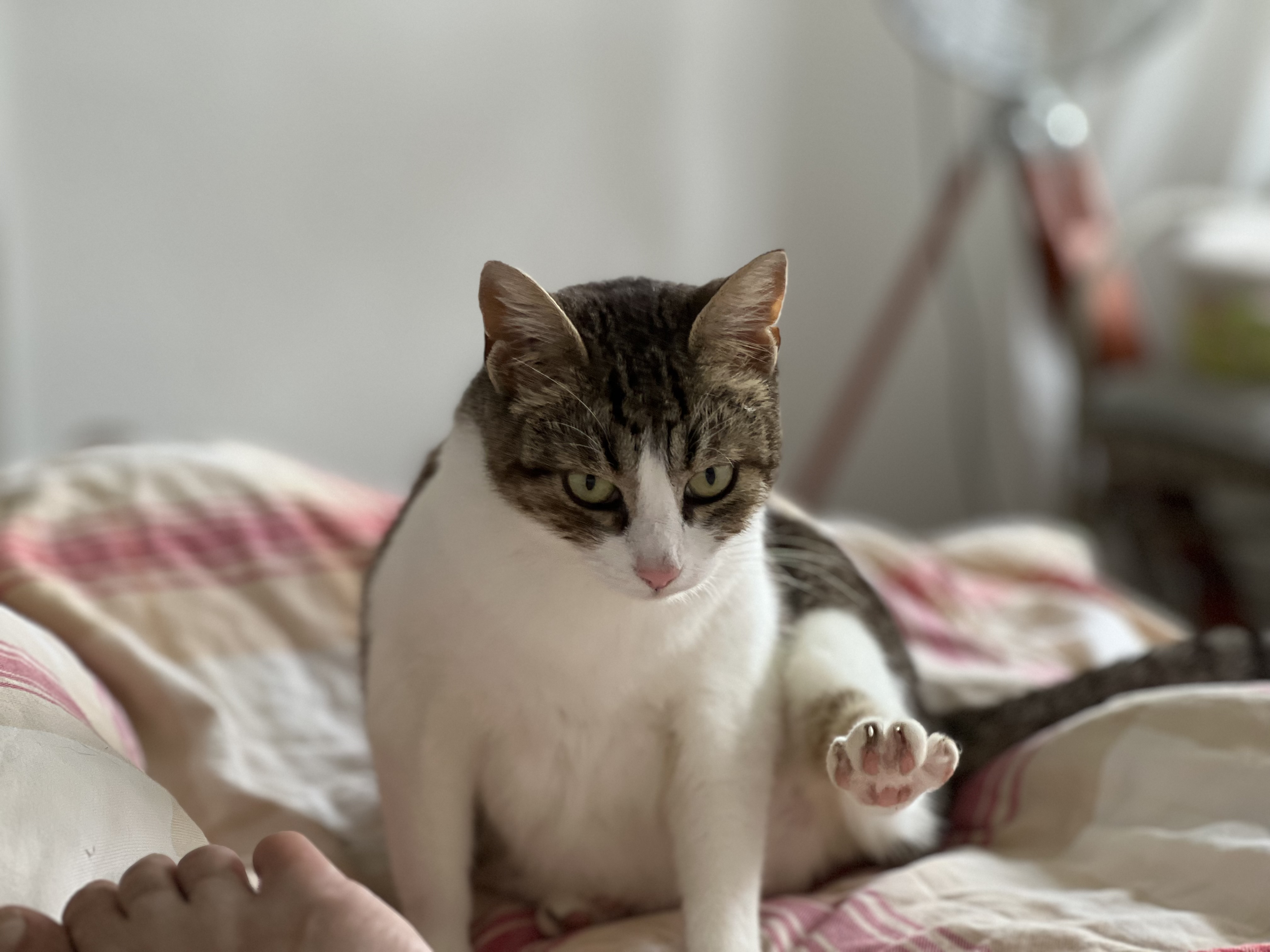 IMG_1169.jpeg