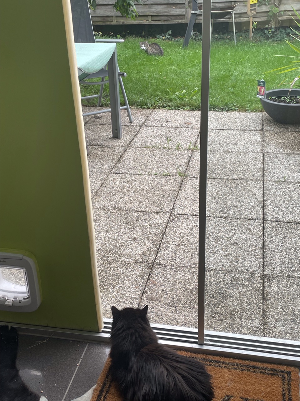 IMG_1358.jpeg