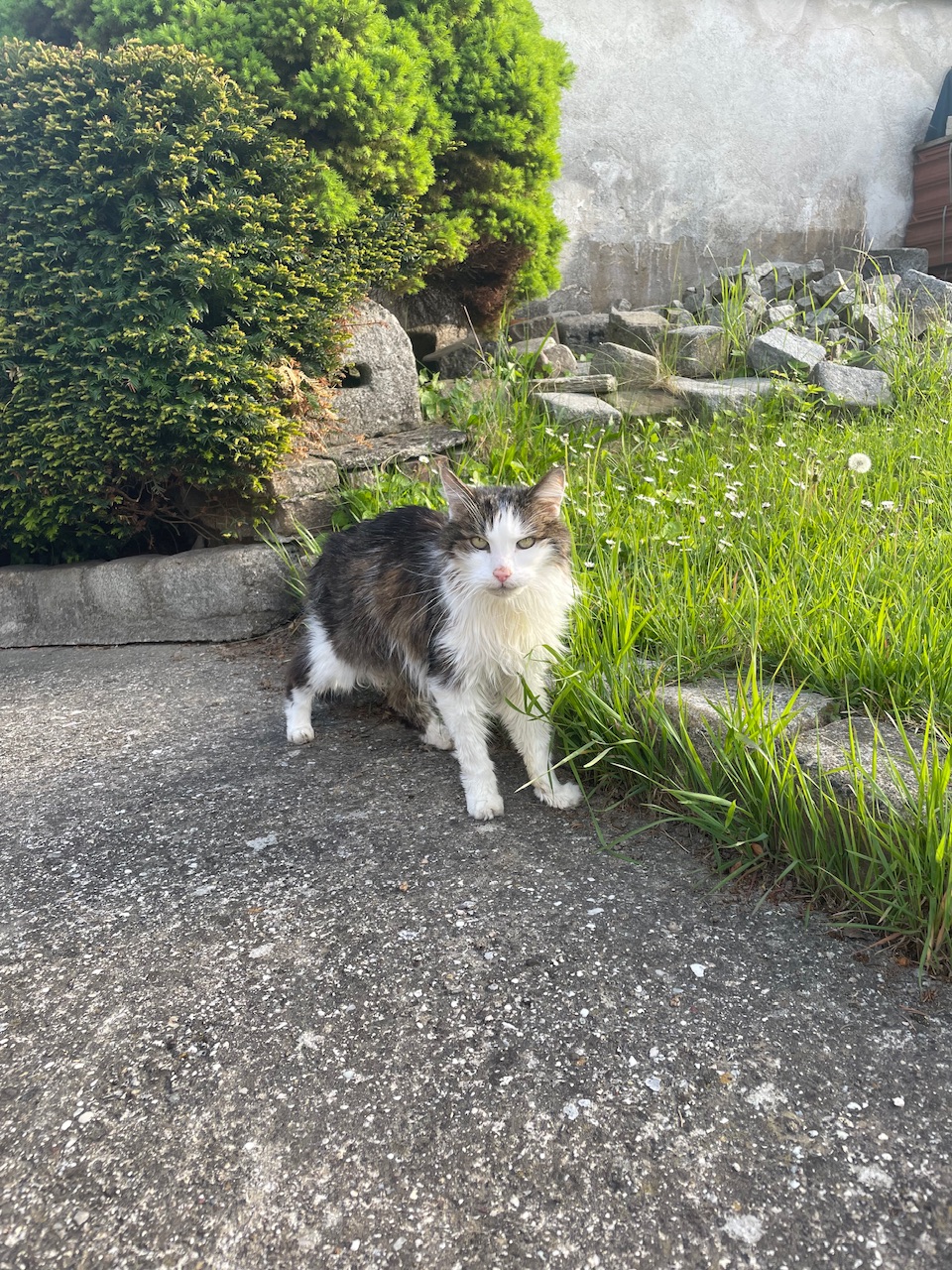 IMG_1360.jpeg