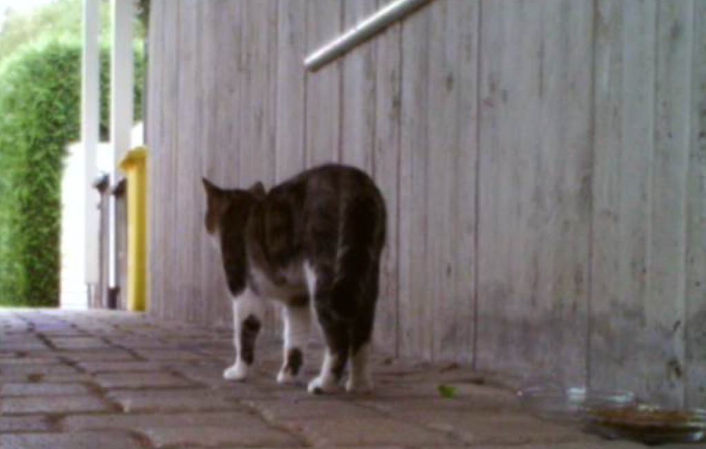 IMG_1500.jpeg