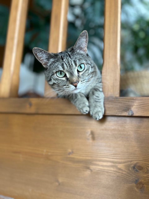 IMG_1502.jpeg