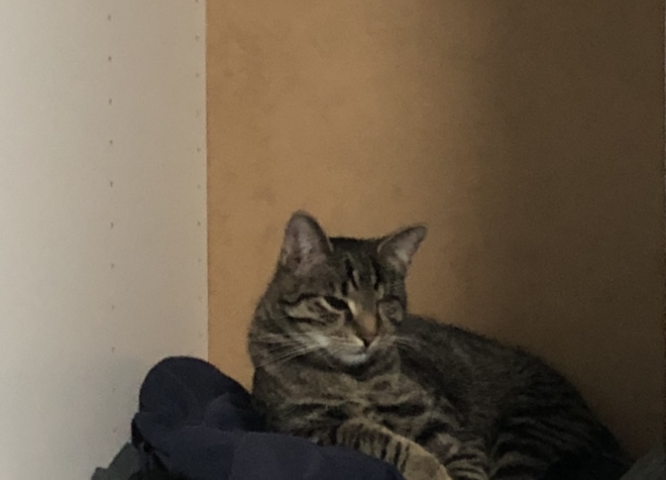 IMG_1803.jpeg