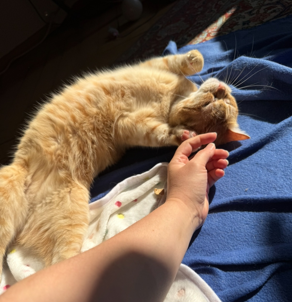 IMG_1835.jpeg