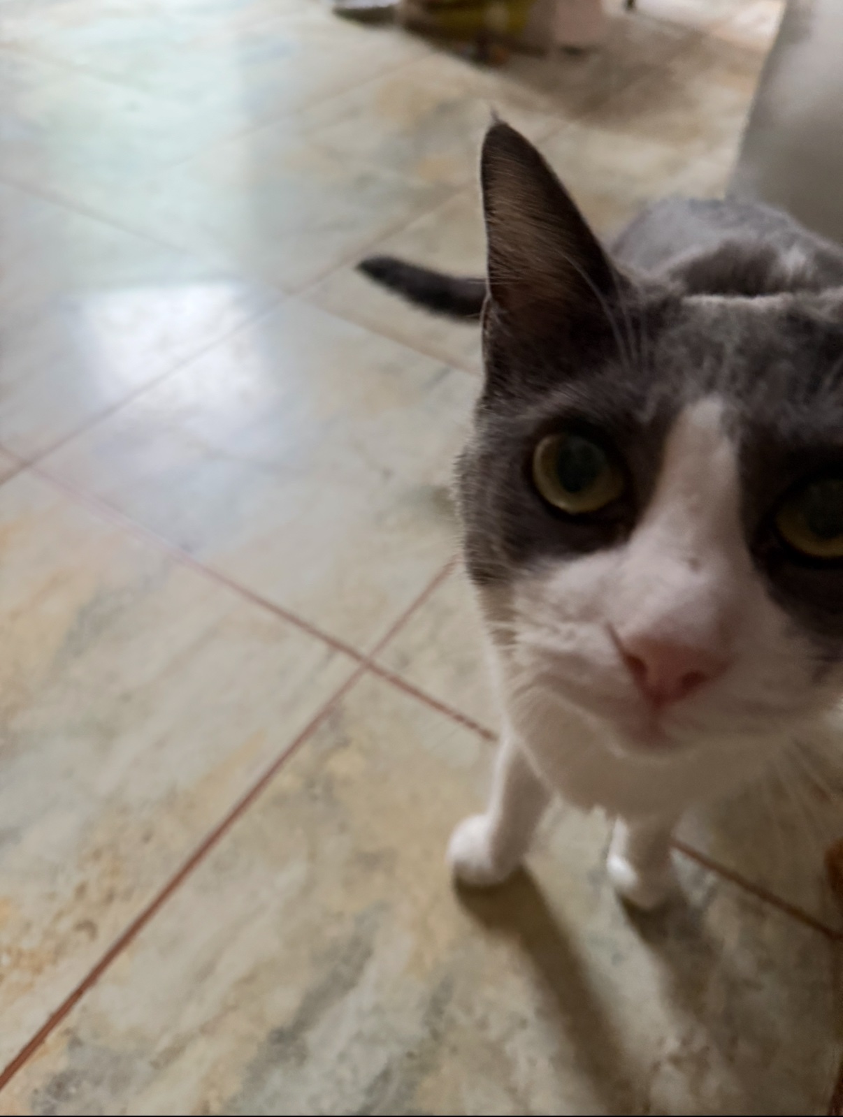IMG_1854.jpeg
