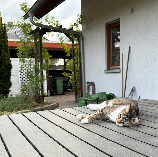 IMG_1881.jpeg