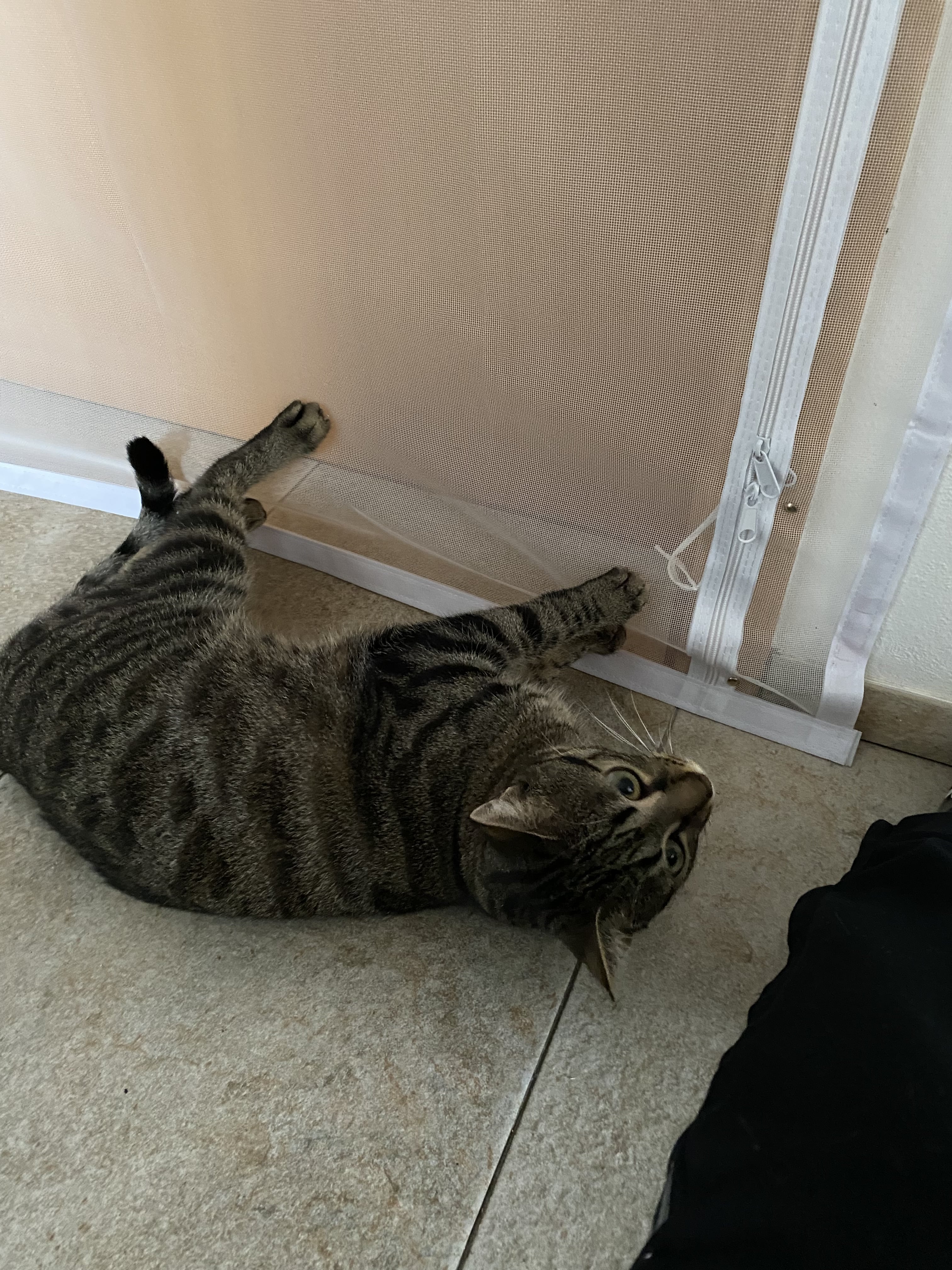 IMG_1909.jpeg