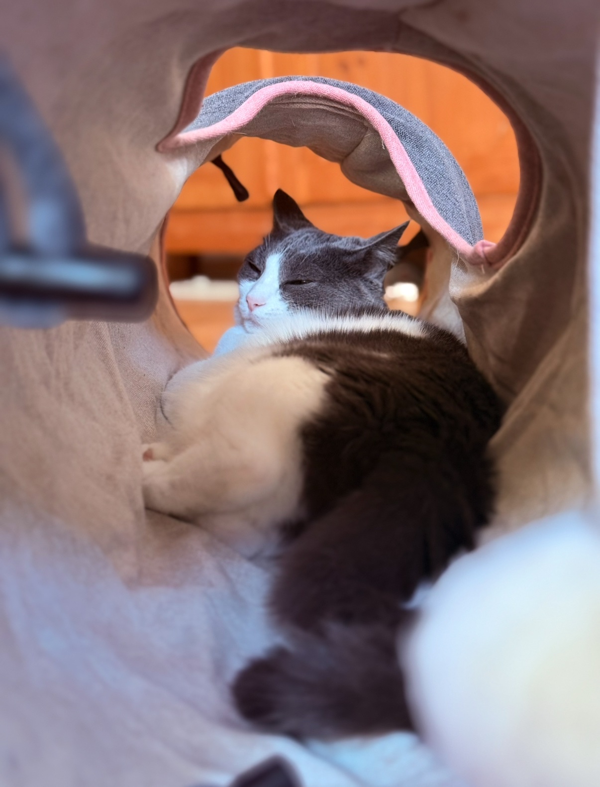 IMG_1953.jpeg