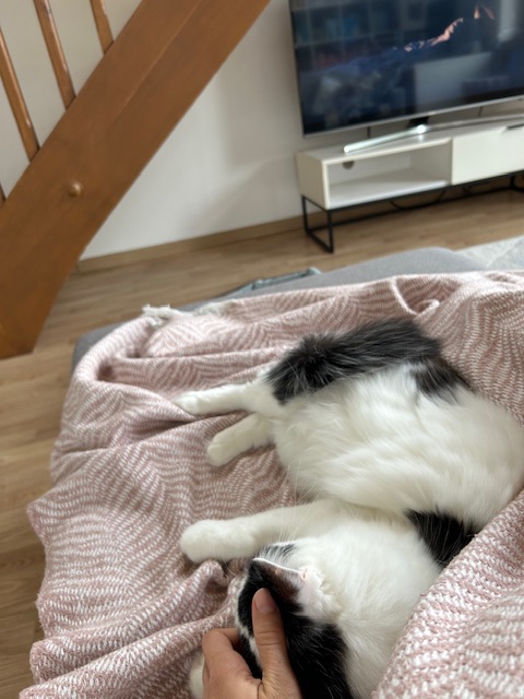 IMG_1980.jpeg