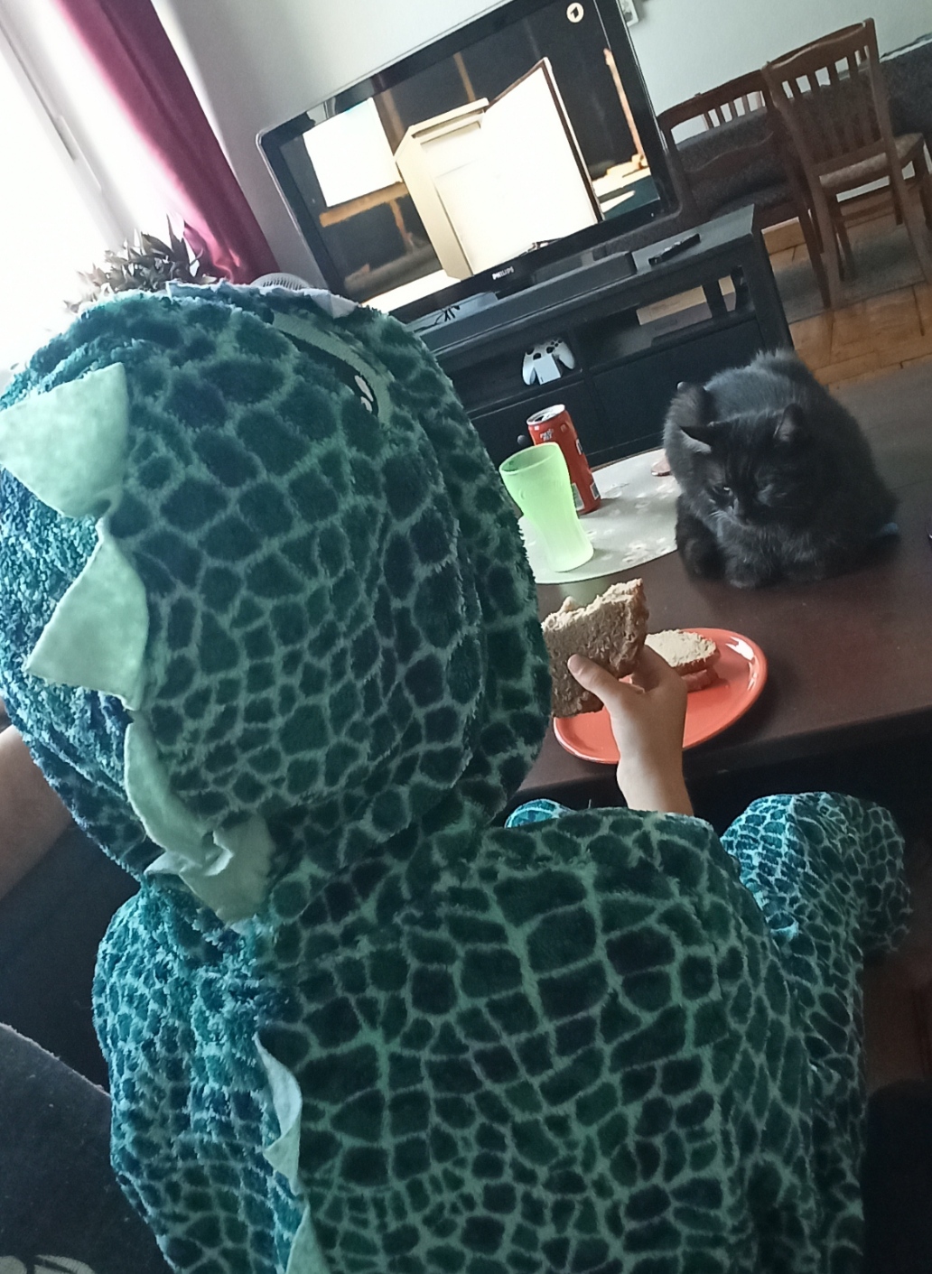 IMG_20230914_182525.jpg