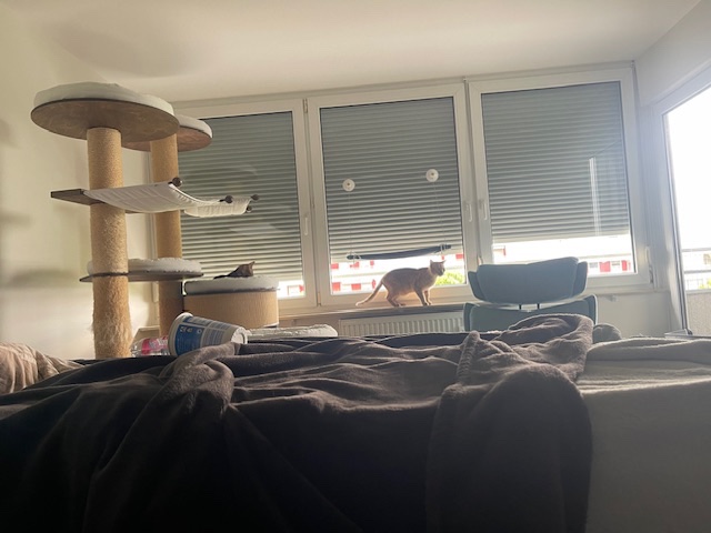 IMG_2141.jpeg