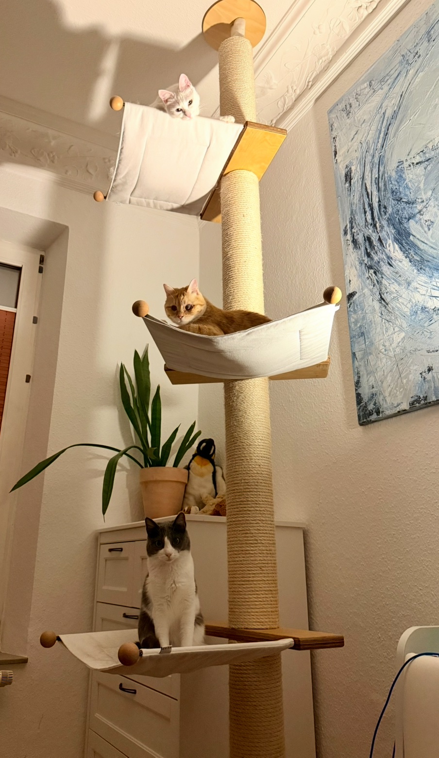 IMG_2218.jpeg