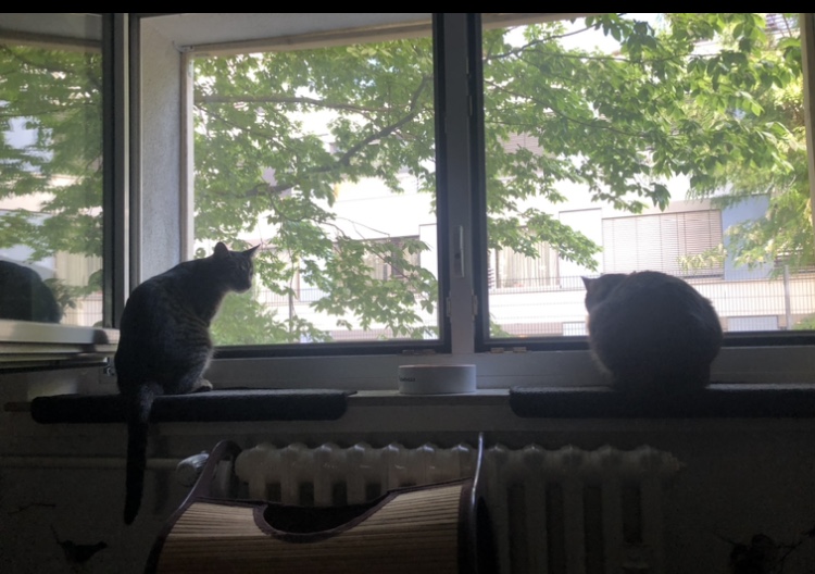 IMG_2351.jpeg
