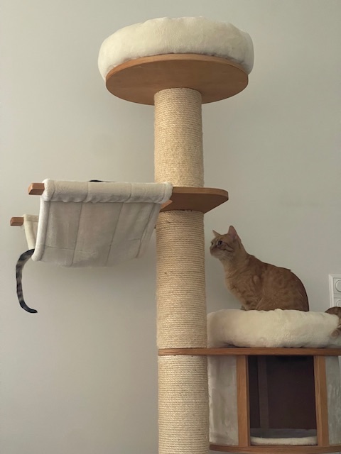IMG_2373.jpeg