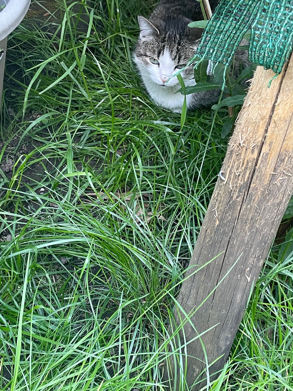 IMG_2689.jpeg