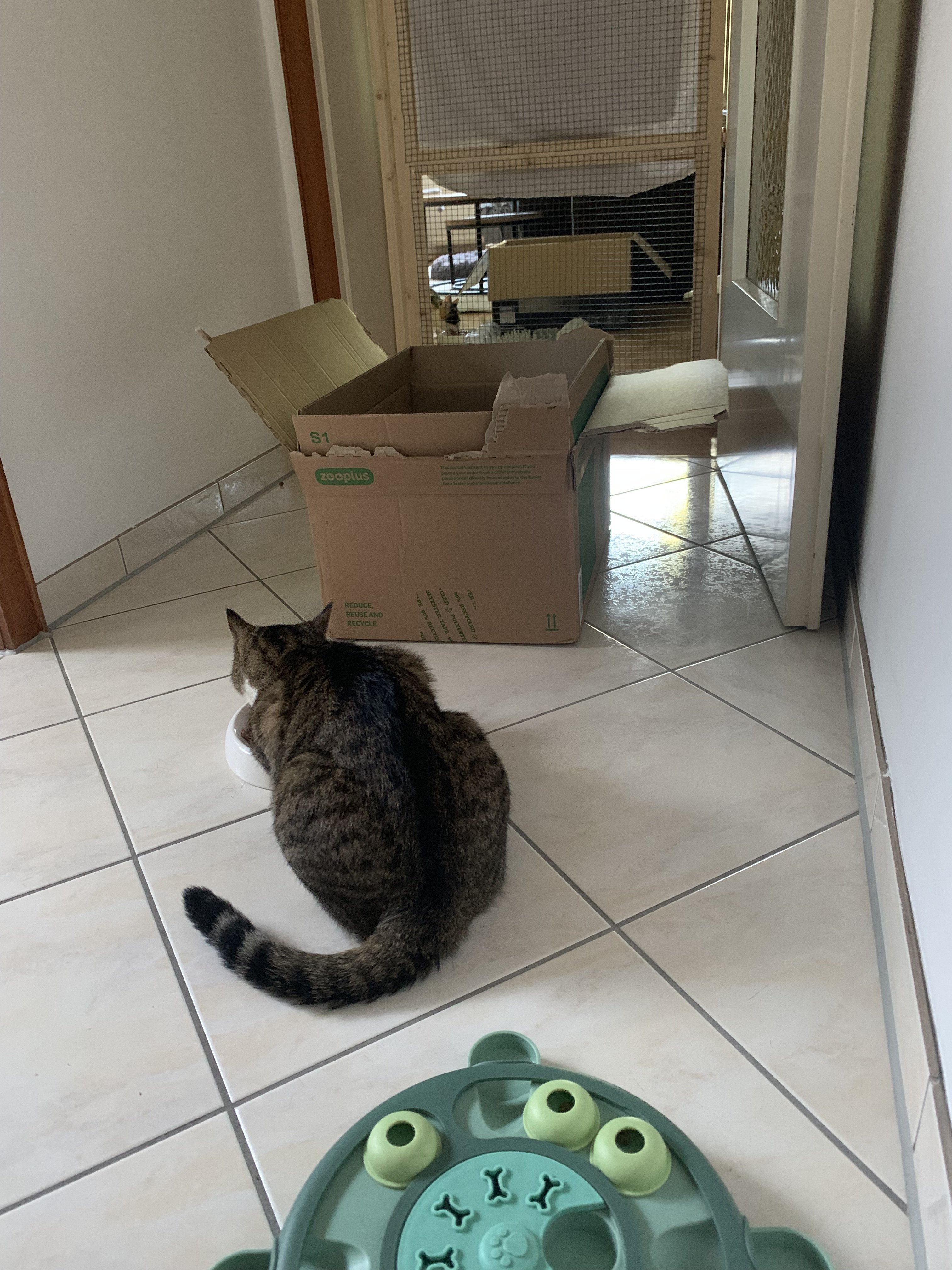 IMG_3191.jpeg