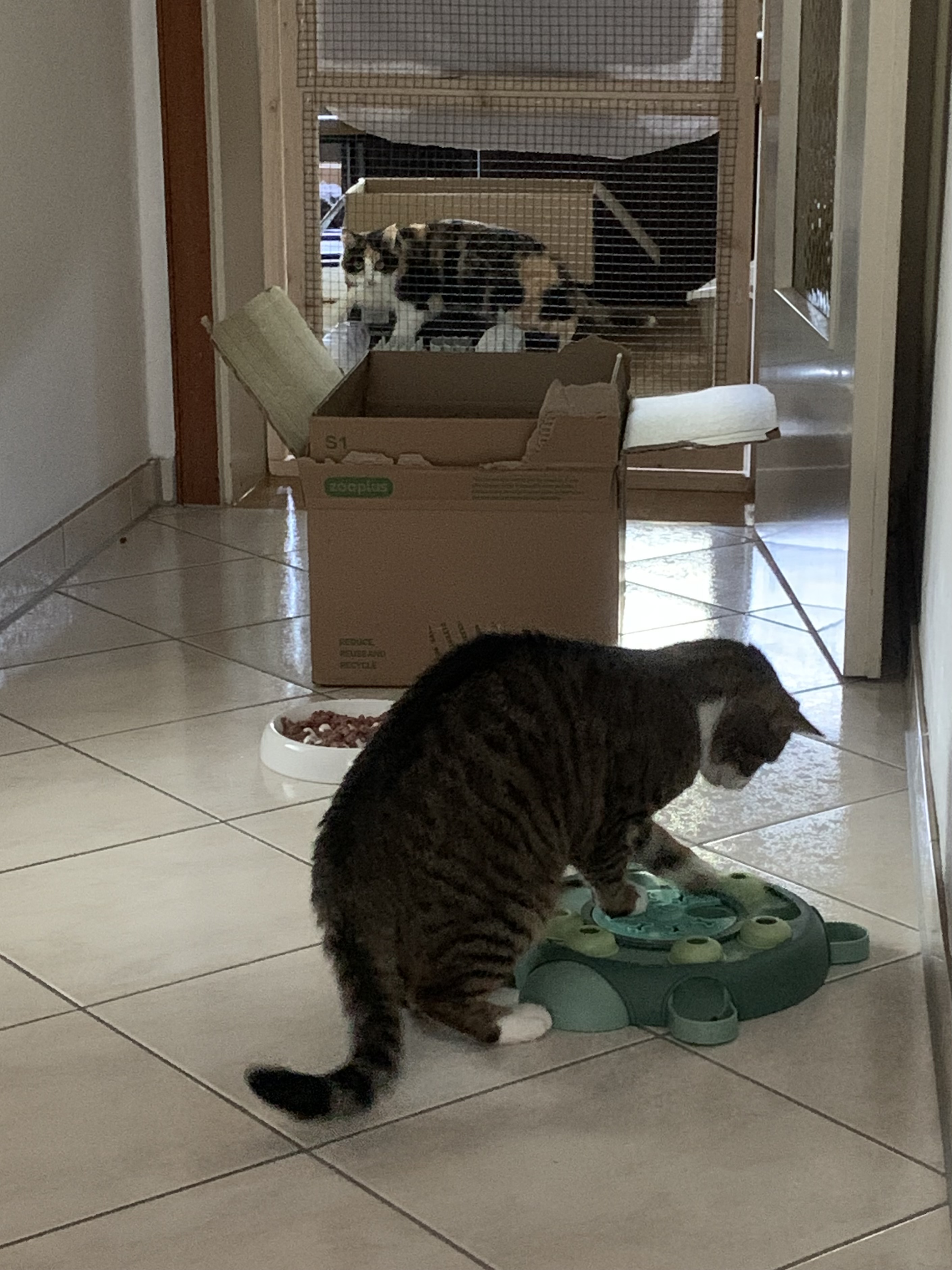 IMG_3193.jpeg