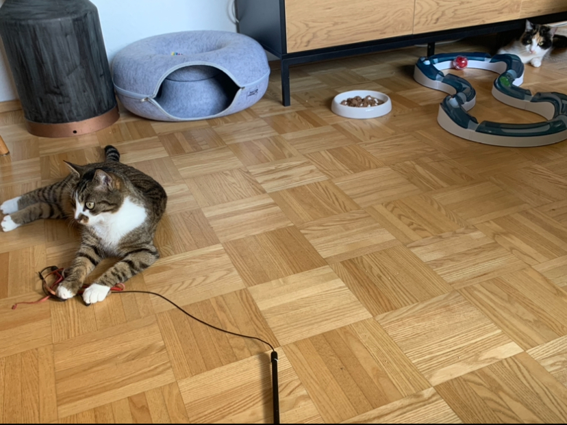 IMG_3329.jpeg